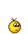 dumy